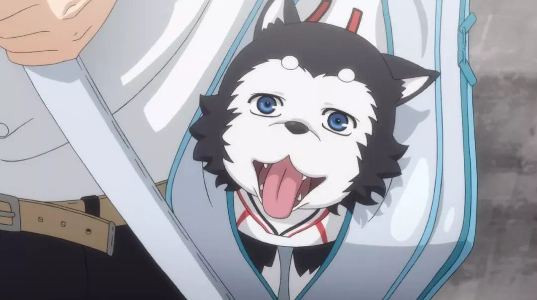 黑子的篮球 五五开的 终极一战 疯狂给黑篮打call Otakufan 微信公众号文章阅读 Wemp