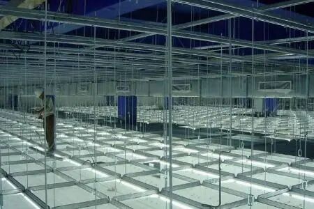 凈化工廠裝修施工方案及流程