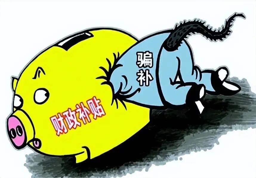 国务院重拳出击！打击骗补套补 力保国补资金精准落地