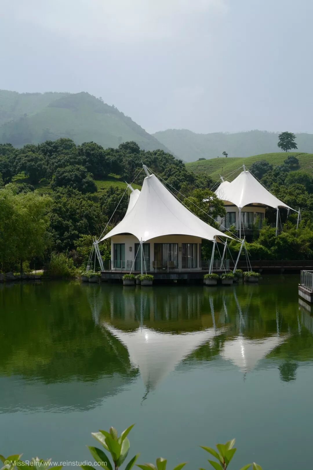 茶园湖畔鸟虫鸣一顶帐篷度周末