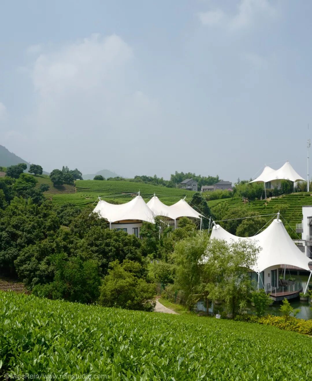 茶园湖畔鸟虫鸣一顶帐篷度周末