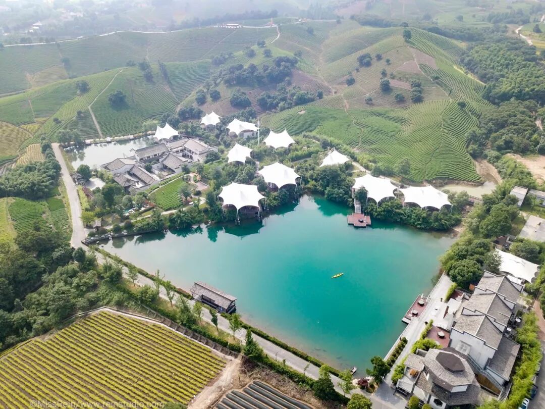 茶园湖畔鸟虫鸣一顶帐篷度周末