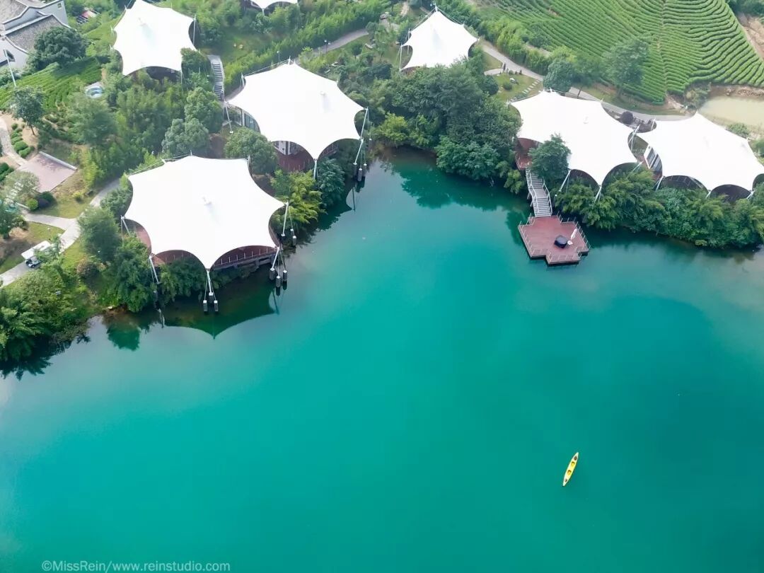 茶园湖畔鸟虫鸣一顶帐篷度周末