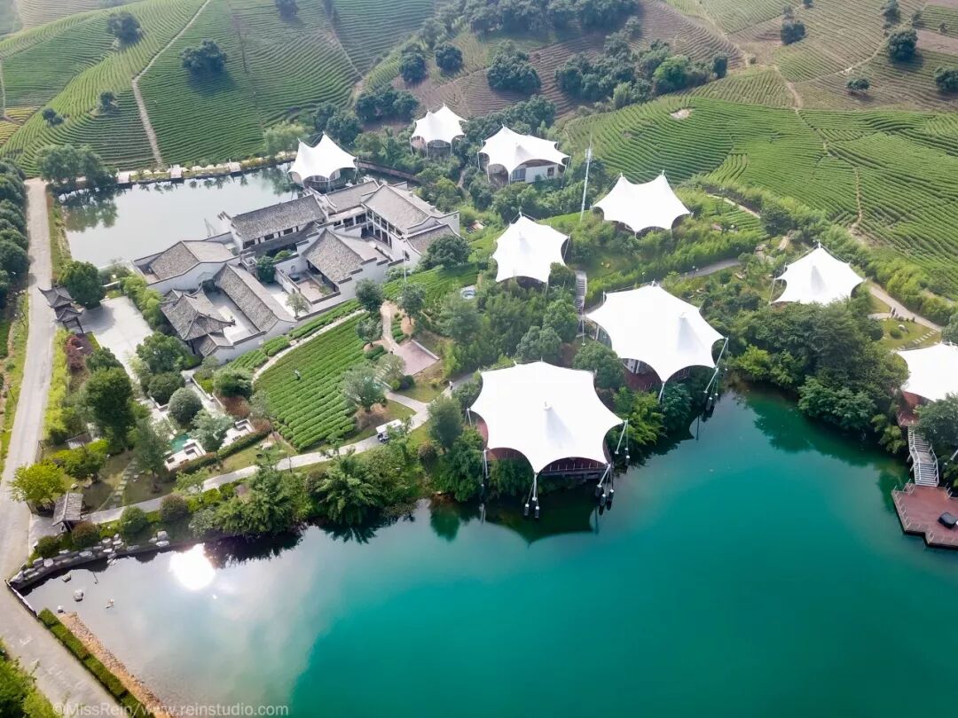 茶园湖畔鸟虫鸣一顶帐篷度周末