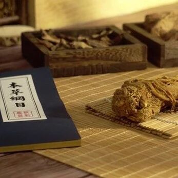 赵露思秋季脚踩银杏叶,陪阿姨跳交谊舞舞,红棕色头发成点睛之笔