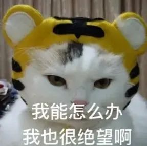 四十六、Fluent壁面函数的选取依据的图14