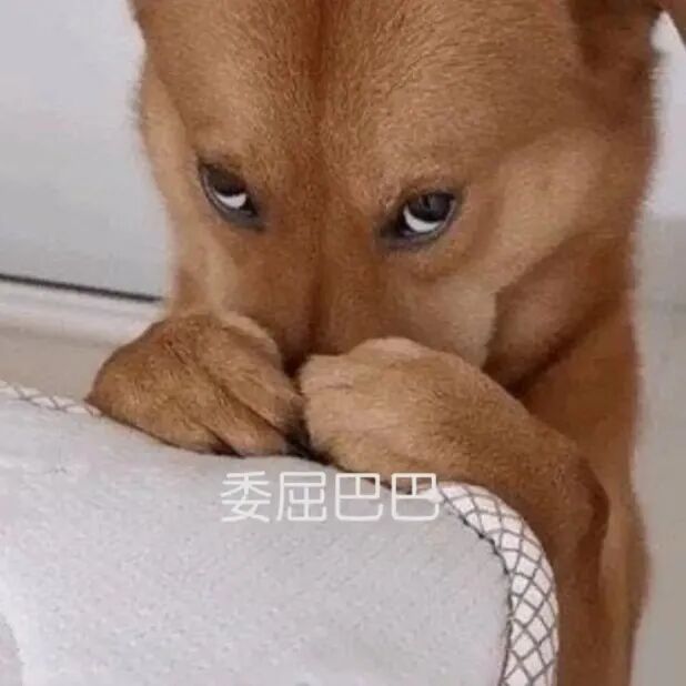 五十、UDF常见错误及报错信息的图2