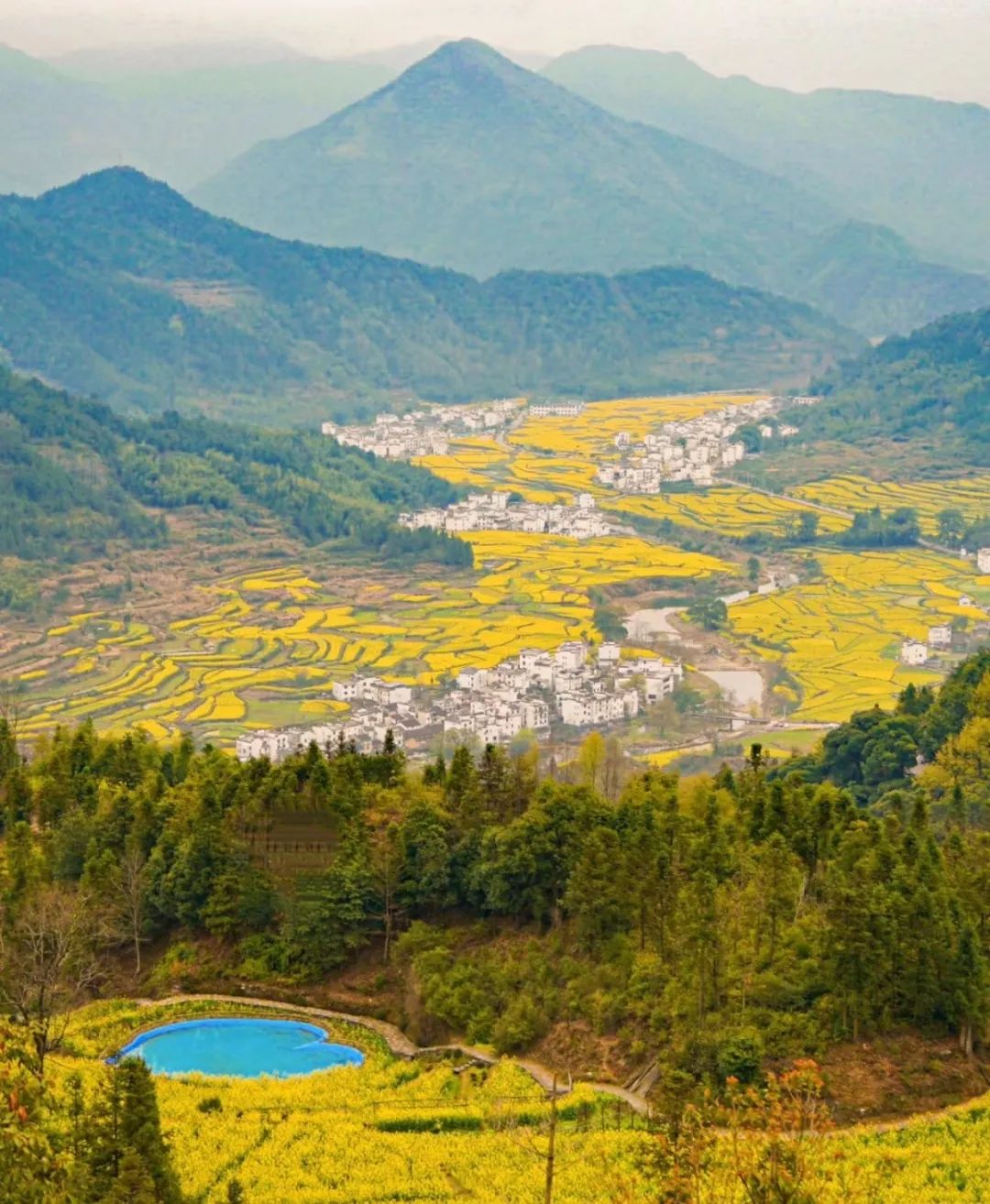 春天的第一次出游我推荐这6个地方