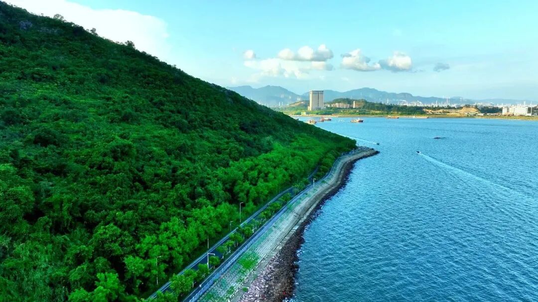 澳头衙前村:高质量培育典型示范村 擦亮文旅融合新名片-惠州大亚湾