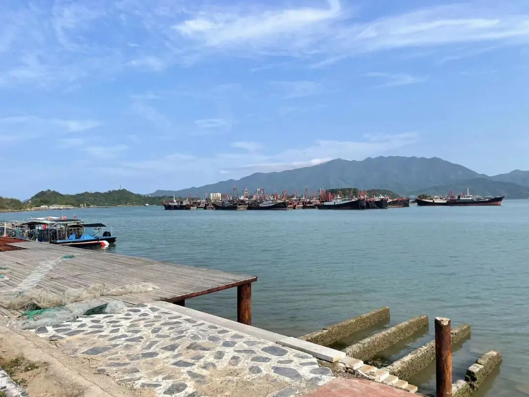 大亚湾小桂村美了旺起来了