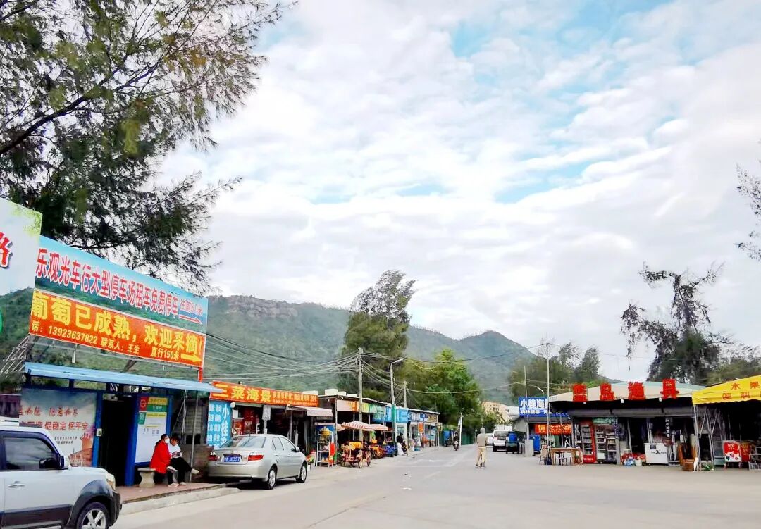 大亚湾小桂村美了旺起来了