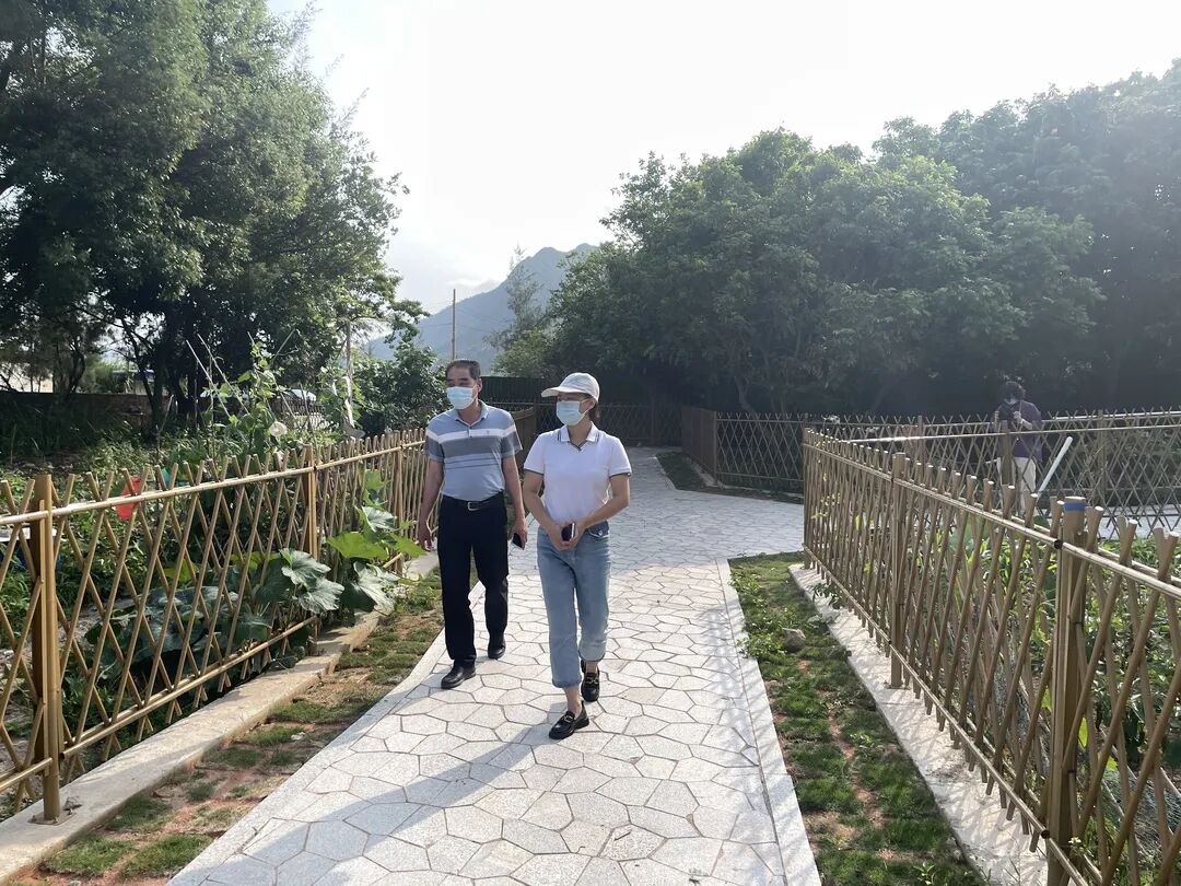 大亚湾小桂村美了旺起来了