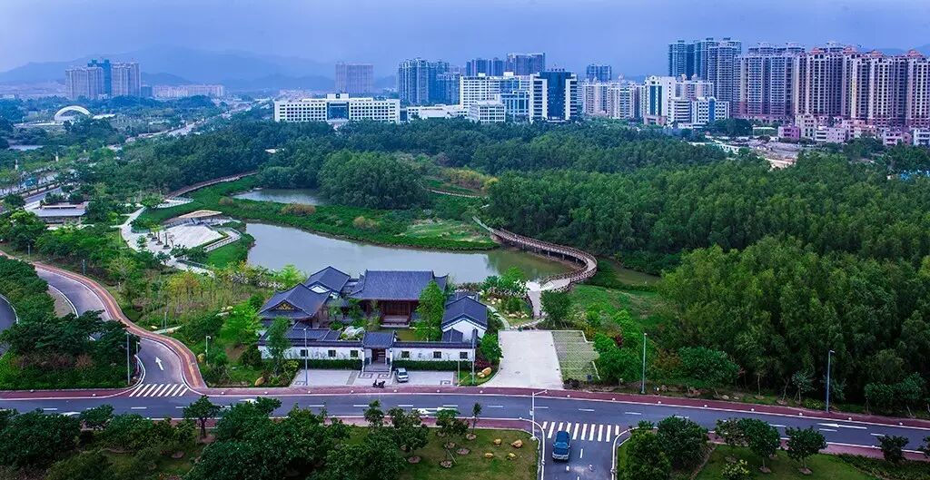 喜大普奔!大亚湾红树林公园入选国家城市湿地公园啦