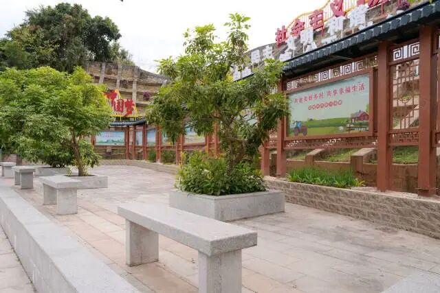 大亚湾衙前村:"渔村 "融合发展,绘出和美乡村新图景-惠州大亚湾经济