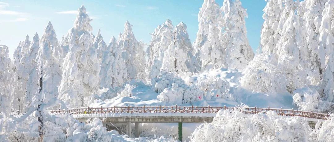 这个冬天，至少要去四川一次！