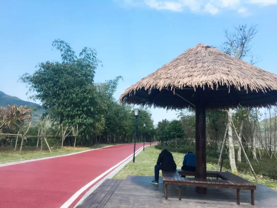 醉在连江的春光里!