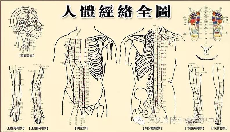 你与仙人只差这一点为什么不能跨越