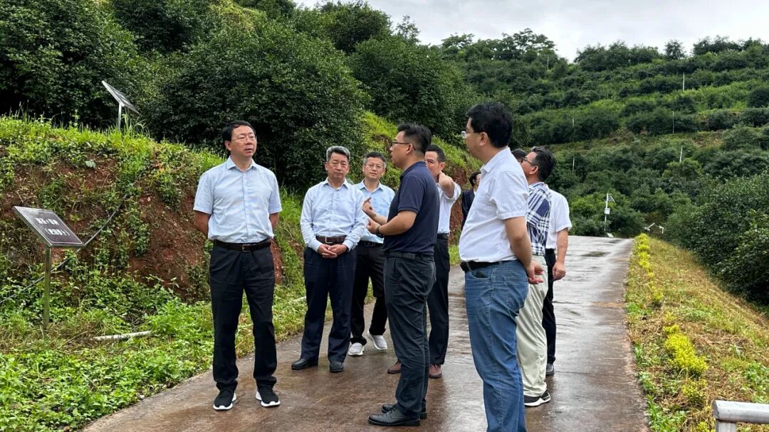 省人大财经委主任委员张和平一行在我市调研油茶产业发展情况