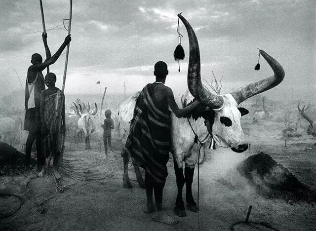 【摄影技巧】拍出精彩照片，你一定要记住——8个重要原则