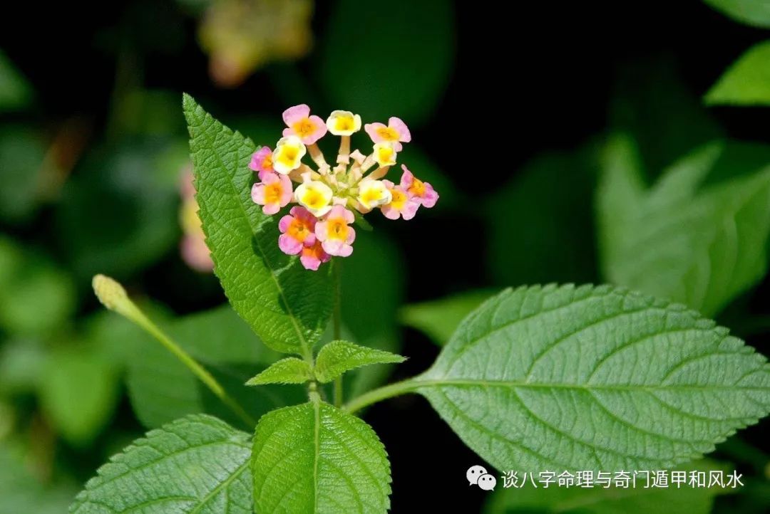 财运人为命没魁罡有什么影响_命中有魁罡_魁罡命的人为什么没有财运