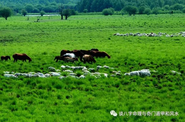魁罡命的人为什么没有财运_财运人为命没魁罡有什么影响_命中有魁罡