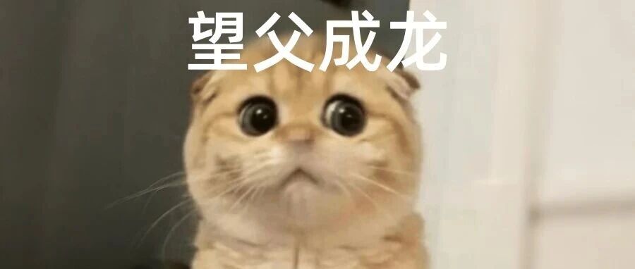 爸爸爸爸爸爸爸爸爸爸爸爸爸