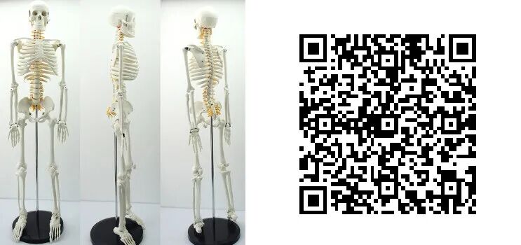 缝线怎么打结新书推荐 ｜ 学无止境，跟着付中国教授学习骨科缝合和打结_https://www.jmylbn.com_新闻资讯_第7张