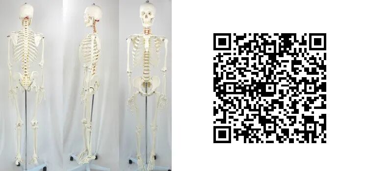 缝线怎么打结新书推荐 ｜ 学无止境，跟着付中国教授学习骨科缝合和打结_https://www.jmylbn.com_新闻资讯_第8张