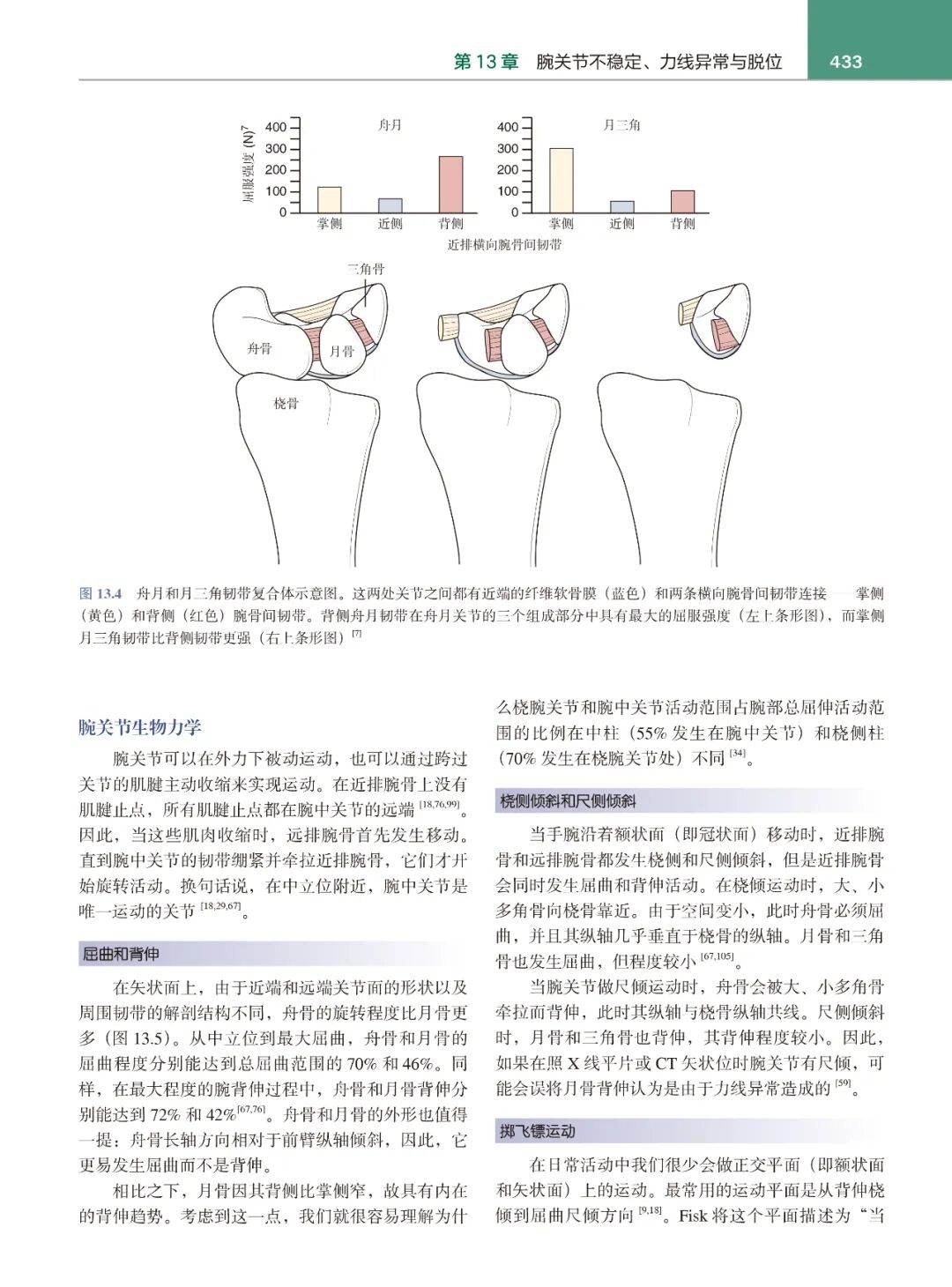 手术头灯眼镜怎么预售!格林手外科手术学，手、腕、肘关节外科领域金标准教材_https://www.jmylbn.com_新闻资讯_第12张