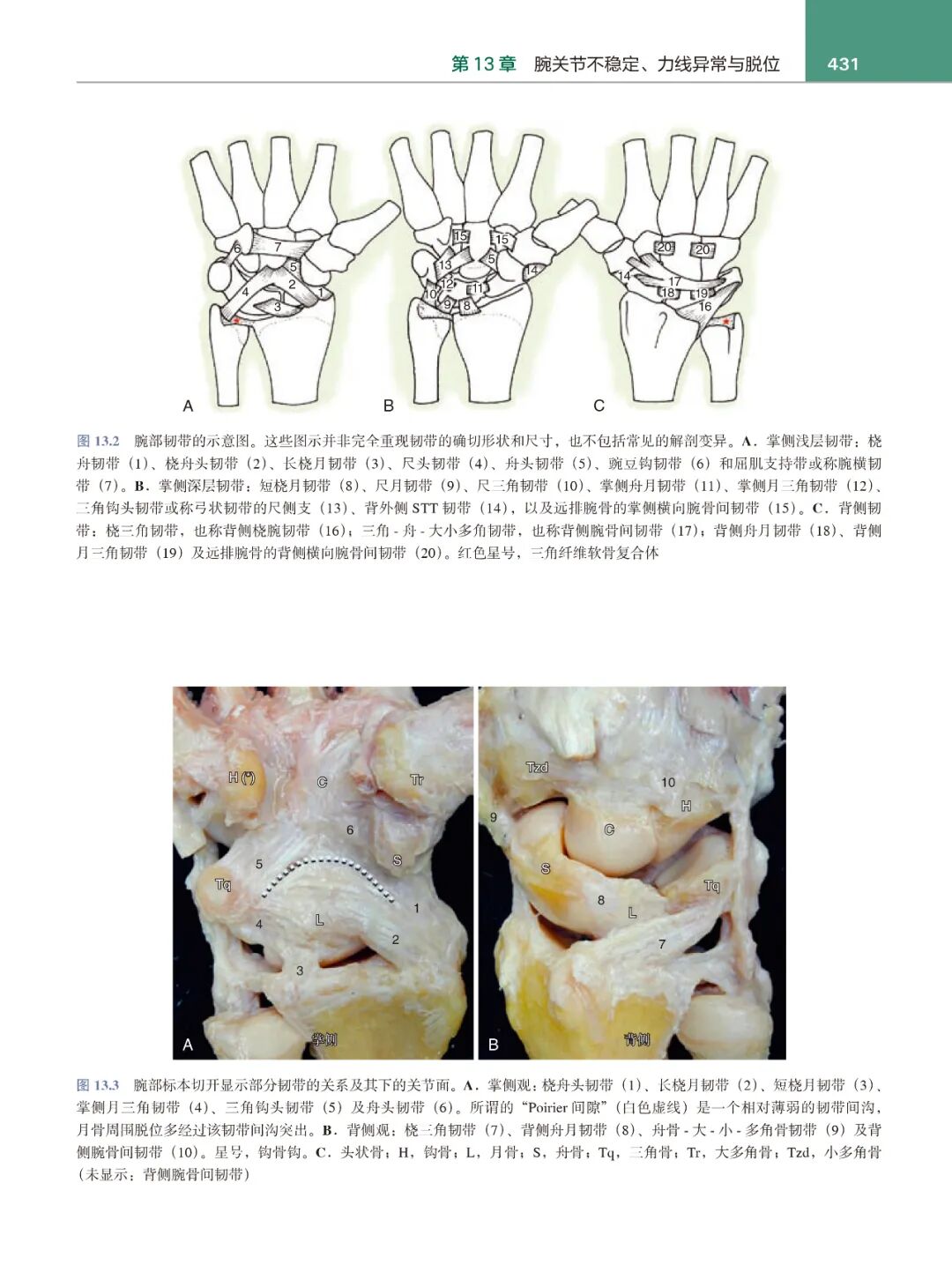 手术头灯眼镜怎么预售!格林手外科手术学，手、腕、肘关节外科领域金标准教材_https://www.jmylbn.com_新闻资讯_第10张