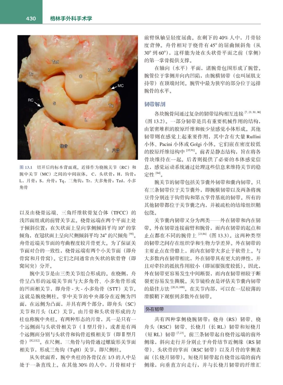 手术头灯眼镜怎么预售!格林手外科手术学，手、腕、肘关节外科领域金标准教材_https://www.jmylbn.com_新闻资讯_第9张