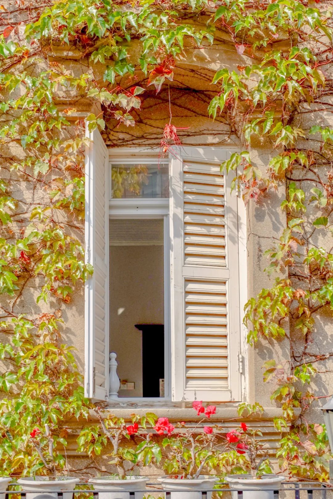 窗户这样拍,又高级又好看! - 摄影技巧