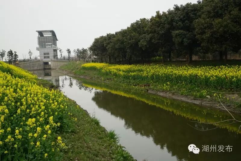 作为太湖溇港圩田系统萌生发展最早,存续时间最长,至今唯一完整留存的