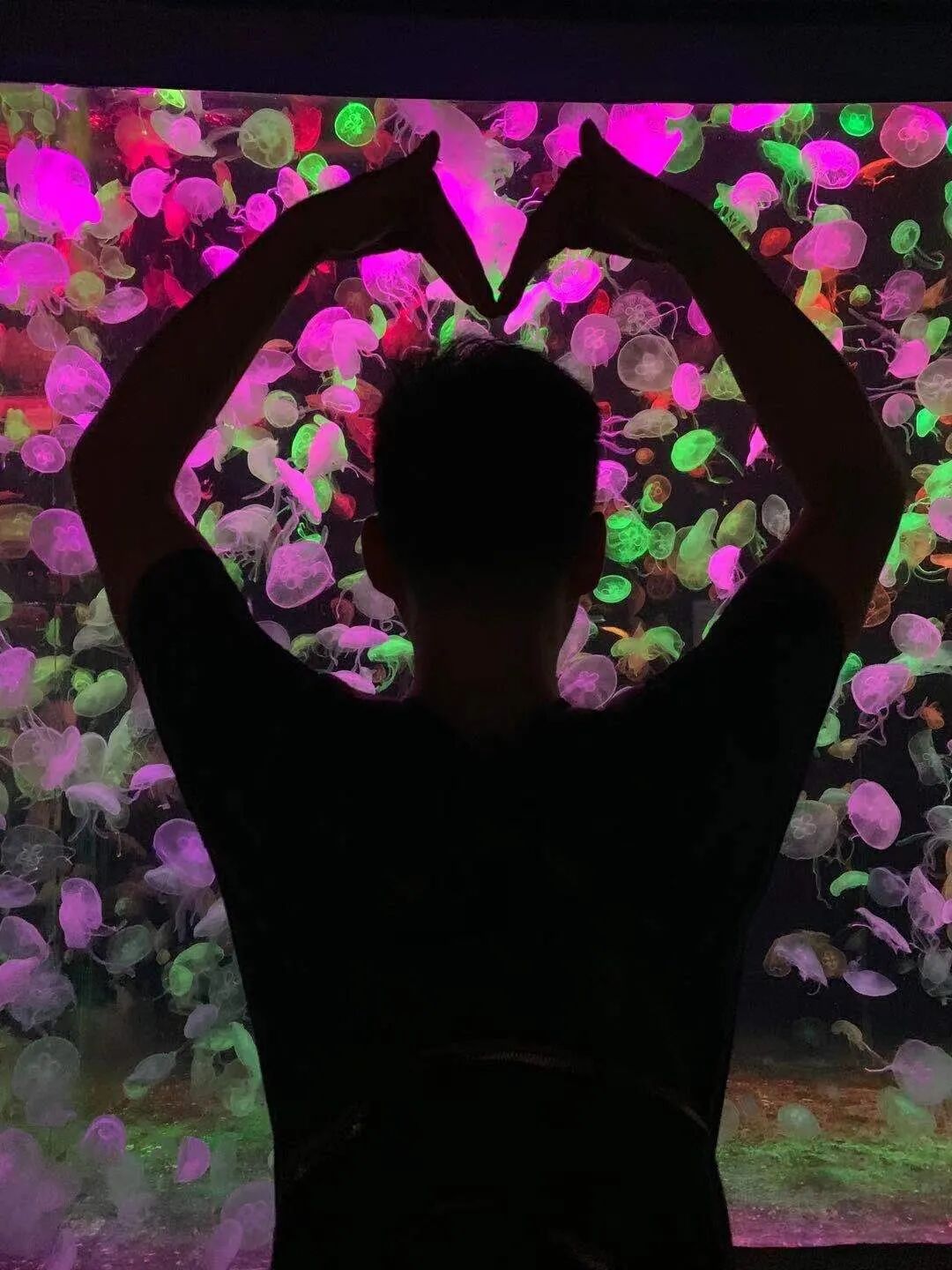 学习PMP项目管理有什么价值？北京PMP培训怎么上课？