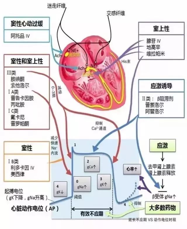 突發急性胸痛怎麼辦？這可能是你見到的最全的急救手冊！ 健康 第22張