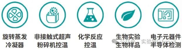 微信截图_20241024082159