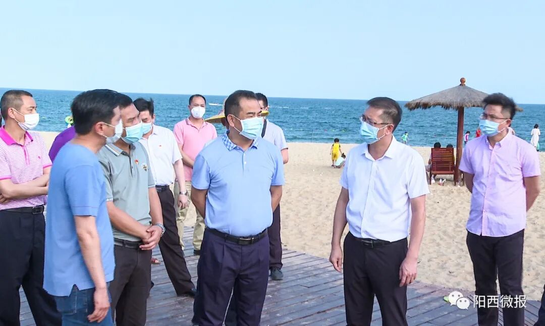 谭忠健调研督导"五一"期间疫情防控, 安全生产等工作 -阳西县人民政府
