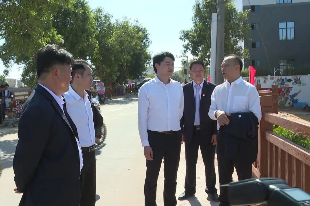 孙波到儒洞镇巡河 -阳西县人民政府网站