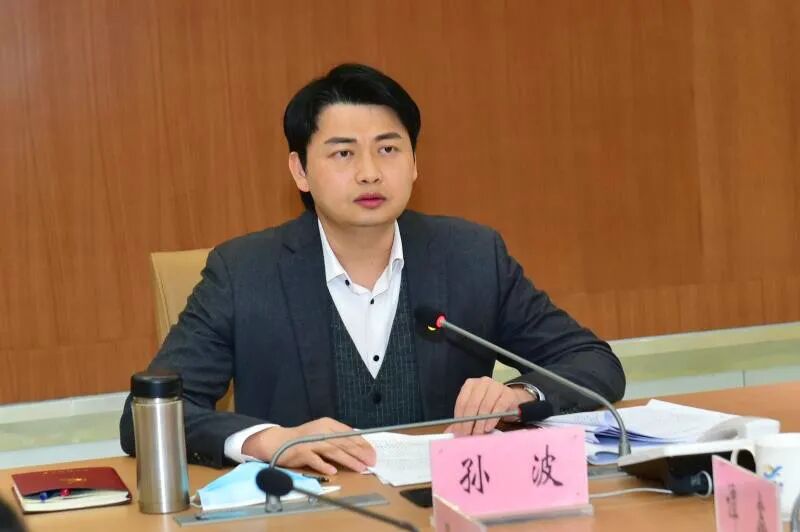 阳江市委常委,阳西县委书记孙波参加会议并讲话,县领导谭鑫,吴臻,钟