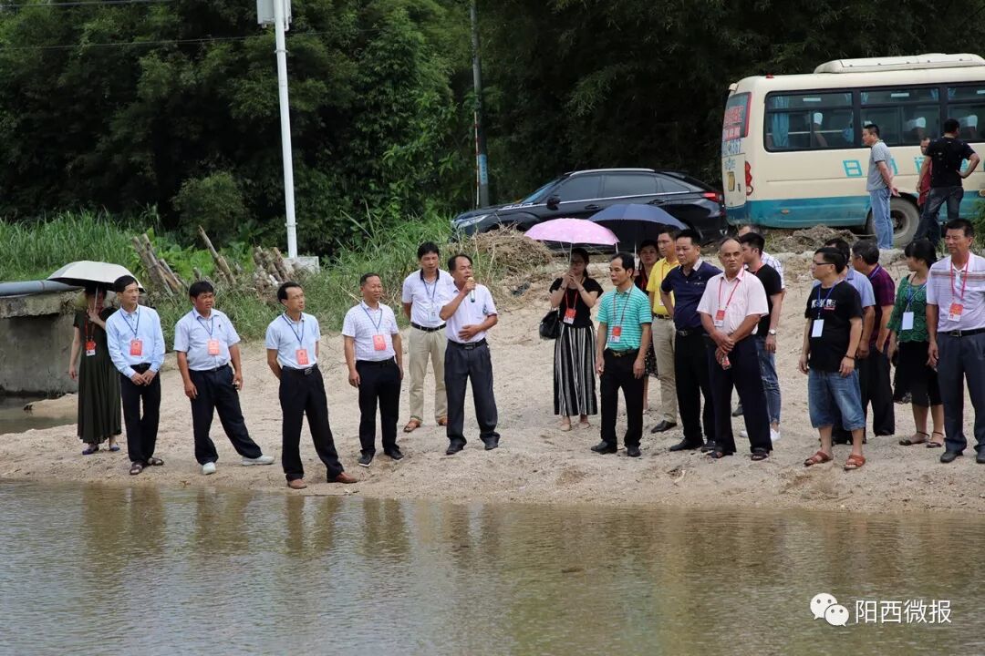 副主任李日芳,副主任庞华和林国兰,阳西县人大常委会主任谢国雄等领导