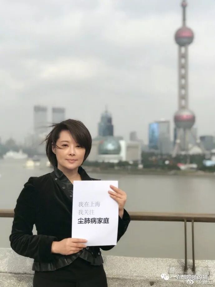 袁立 一直都是那个 侠义风范的杜小月【保定重金属开采联盟】