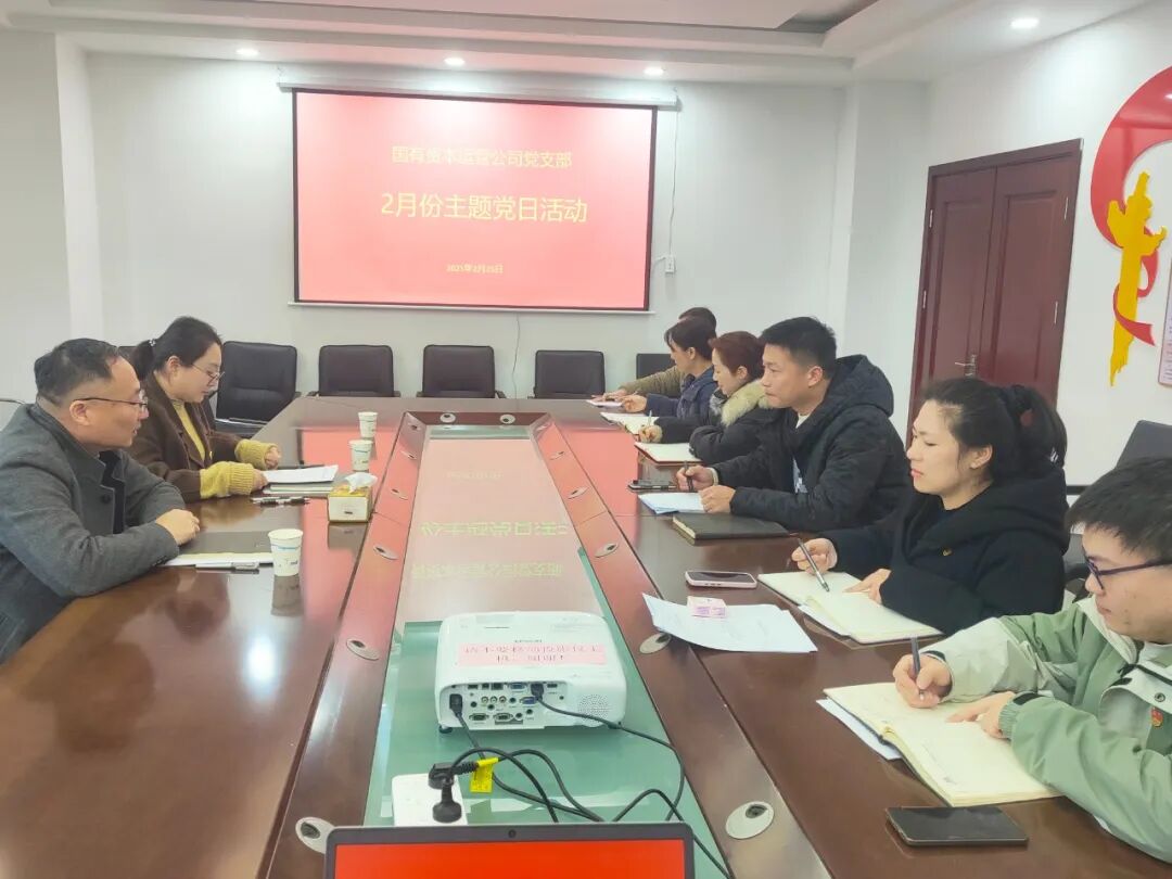 国资公司党支部.jpg