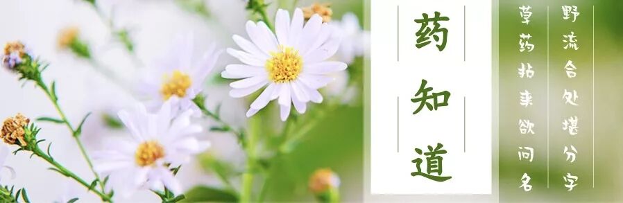 药知道｜网传的「植物伟哥」，真的可滋阴壮阳？