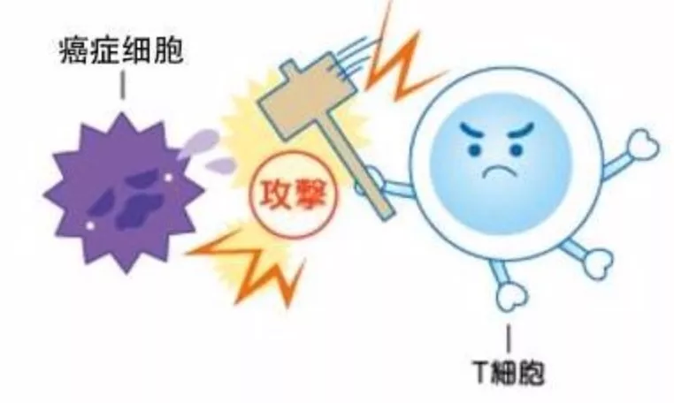 防患于未然,远离肺癌高发的5大诱因! 防患于未然,远离肺癌高发的5大诱因!