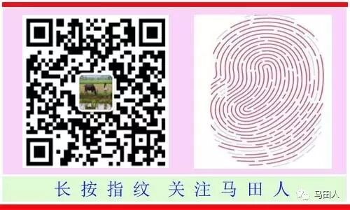 湖南省耒阳市属于哪个市 耒阳人的郴州情结