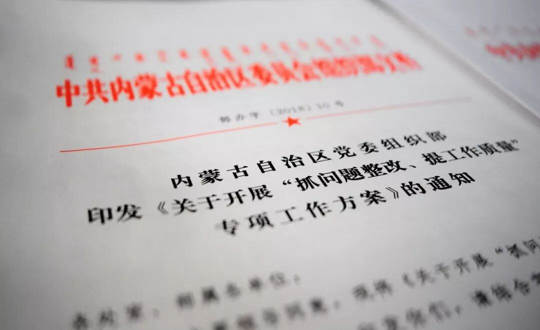 2018，全区组织工作精彩回眸