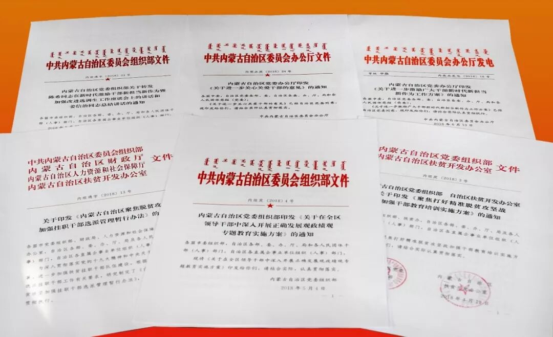 2018，全区组织工作精彩回眸