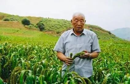 2018，全区组织工作精彩回眸