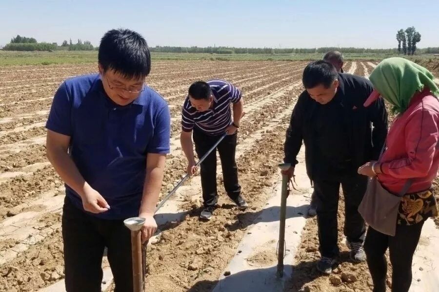 2018，全区组织工作精彩回眸