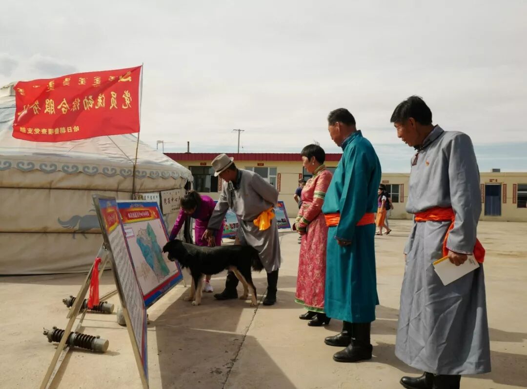 2018，全区组织工作精彩回眸